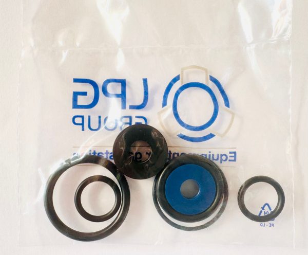 Kit garnituri Skid GPL